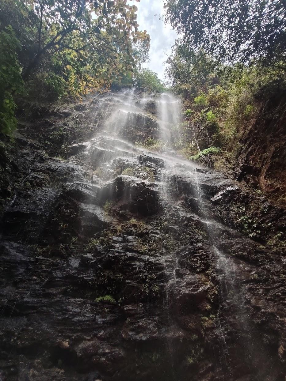 SARANDA FOREST, photo 4 of 6