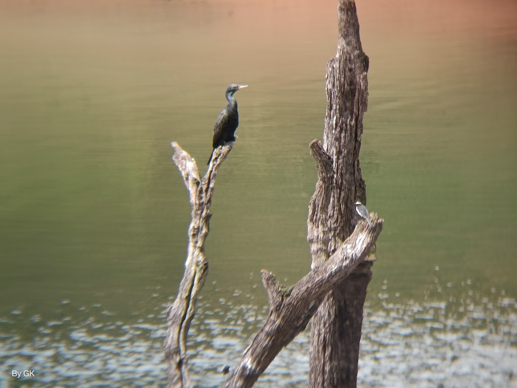 Periyar Lake, photo 2 of 7