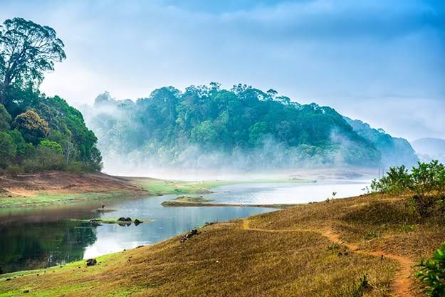 Periyar Lake, photo 3 of 7