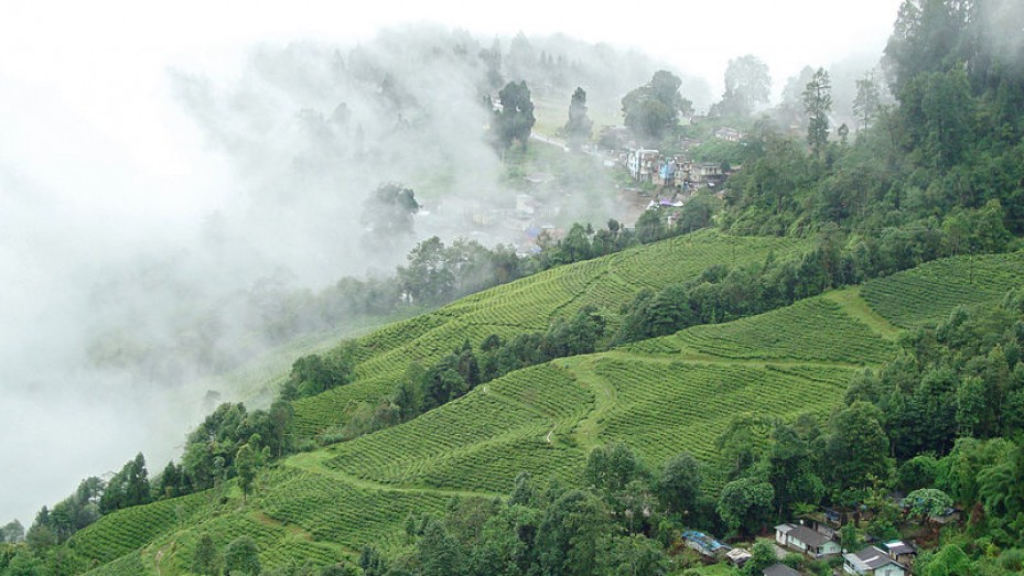 Murukkady, photo 1 of 9