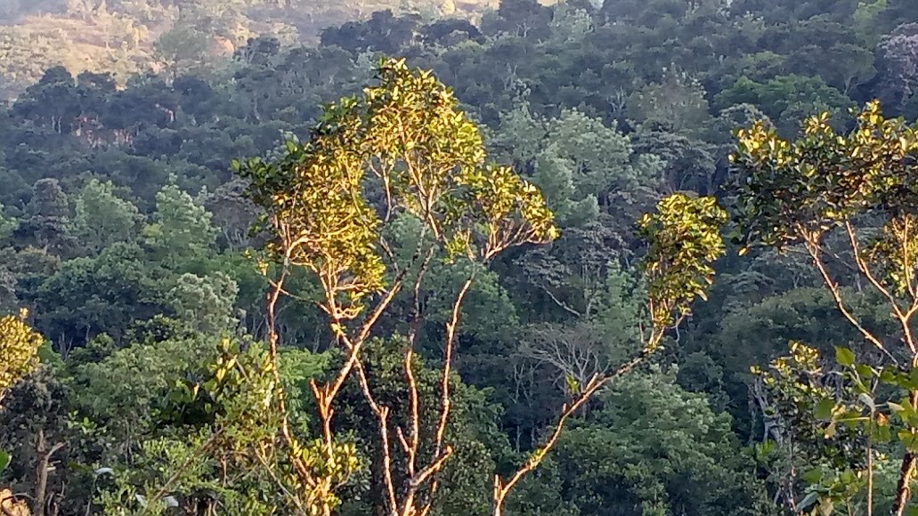 Murukkady, photo 3 of 9