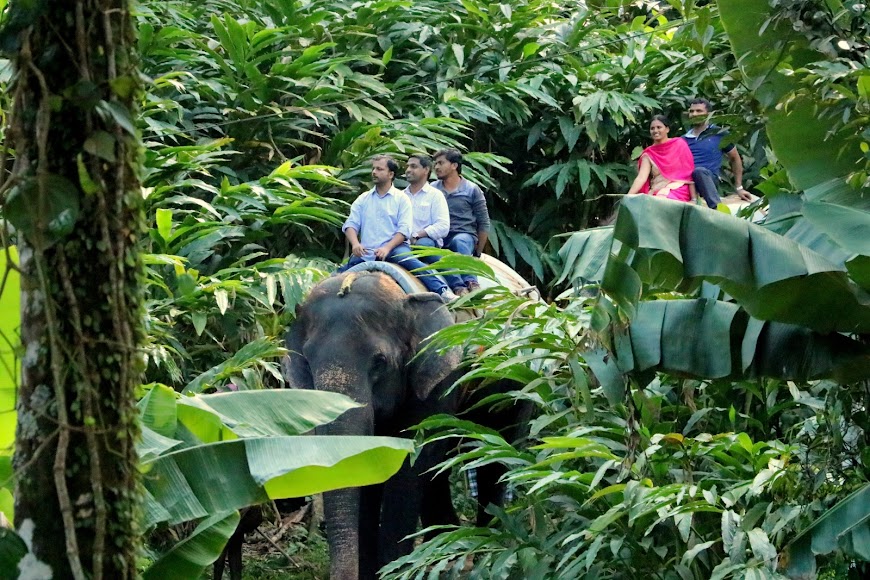 Murukkady, photo 2 of 9