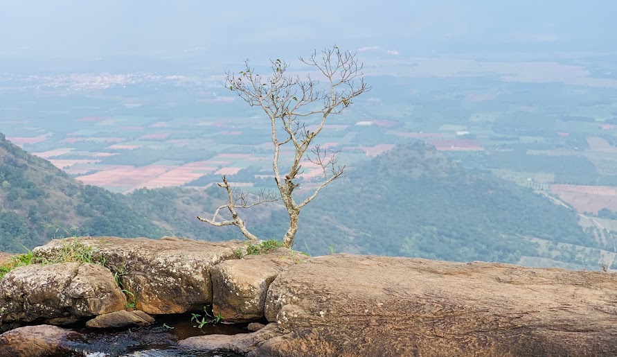 Chellarcovil View Point, photo 2 of 5