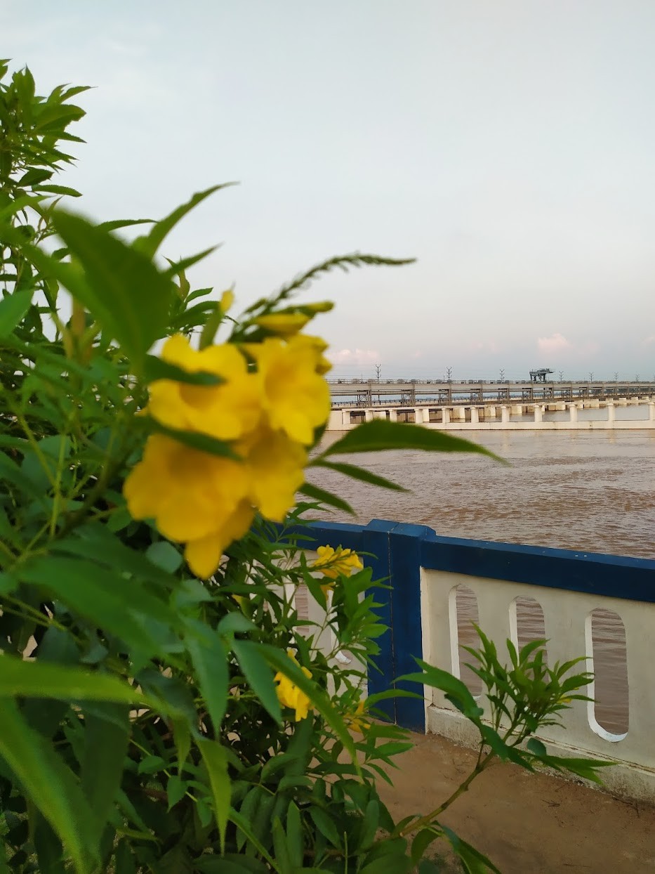 Indrapuri Barrage, photo 3 of 8