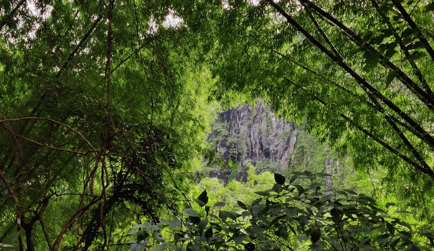 Soochipara Waterfalls, photo 3 of 6