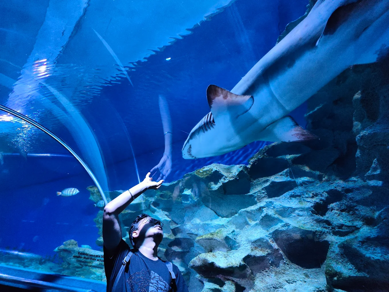 Aquaria KLCC, photo 1 of 10