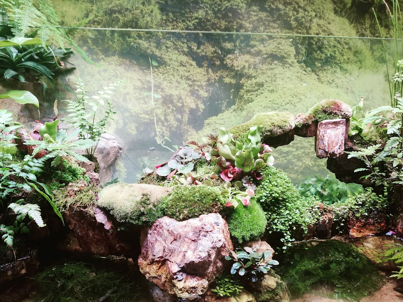 Aquaria KLCC, photo 2 of 10