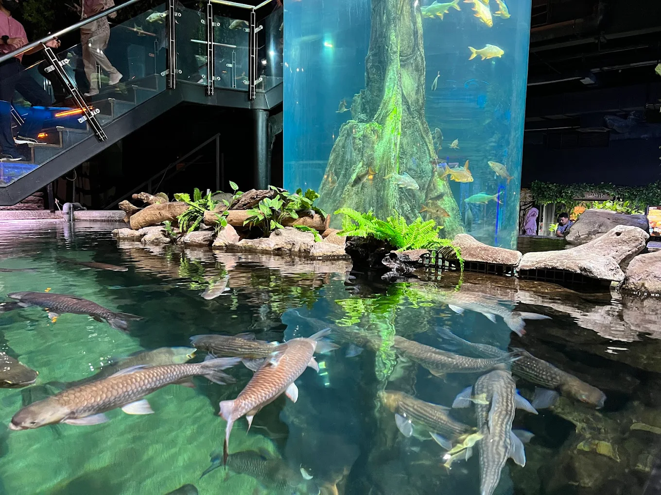 Aquaria KLCC, photo 3 of 10