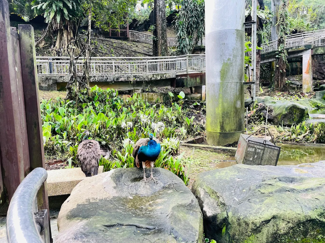 Malaysia, Federal Territory of Kuala Lumpur