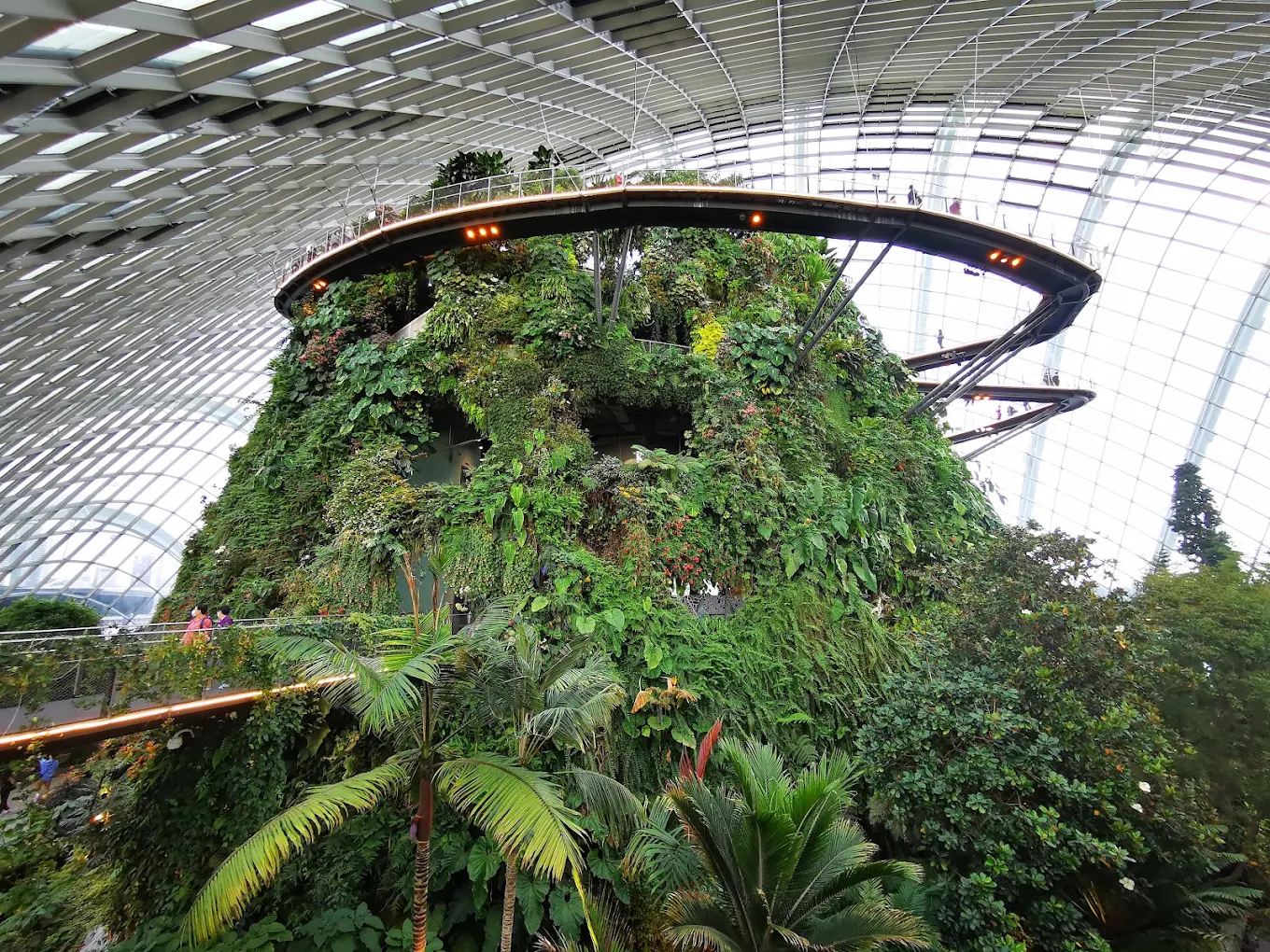 Supertree Grove, photo 3 of 9