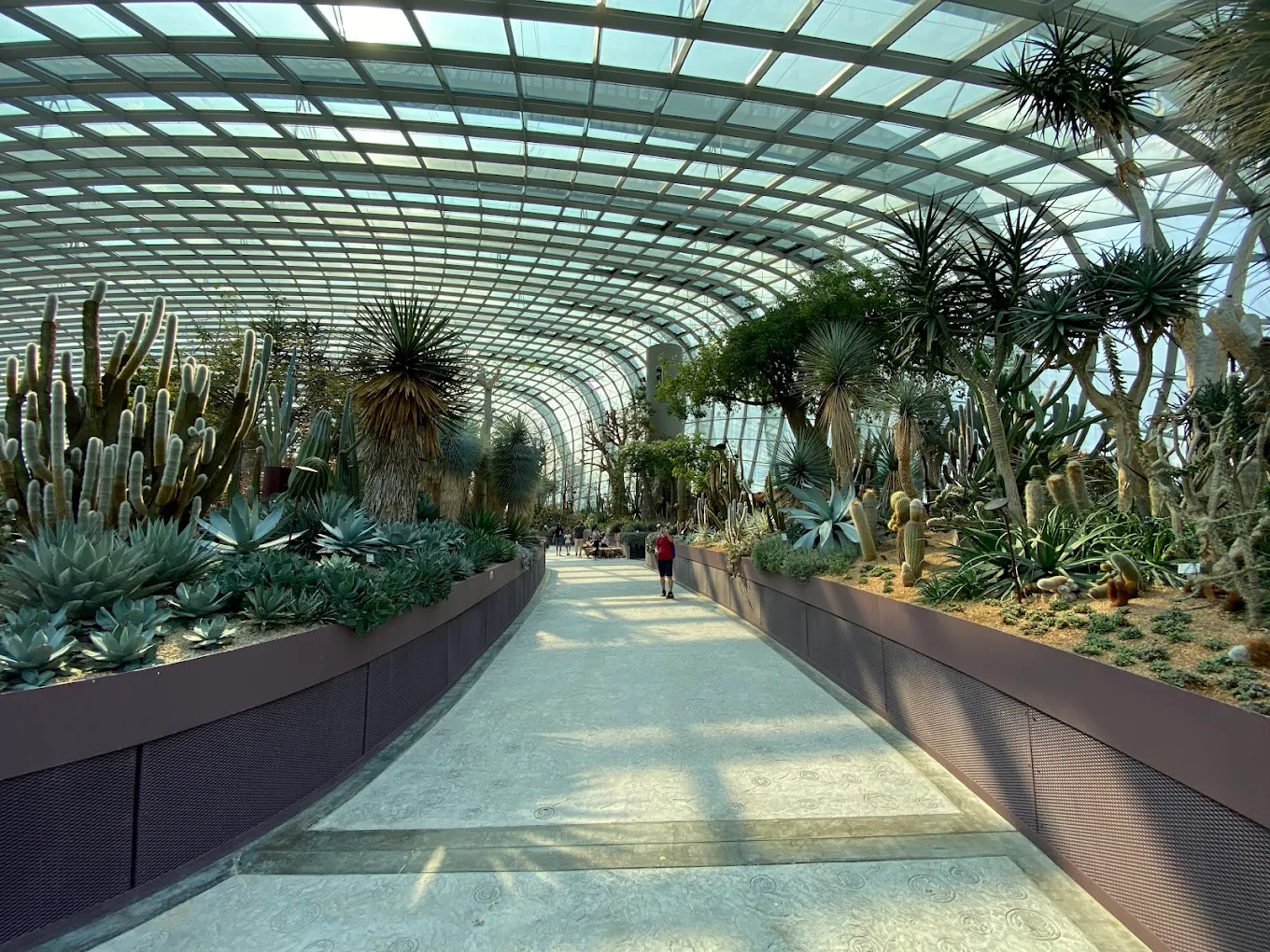 Flower Dome, photo 1 of 10