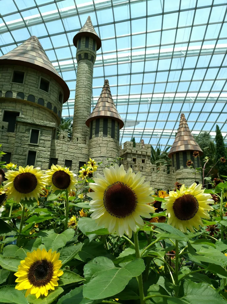 Flower Dome, photo 2 of 10