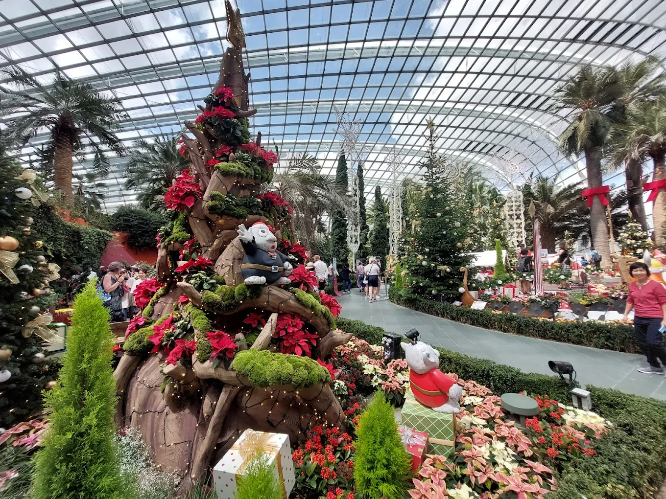 Flower Dome, photo 3 of 10