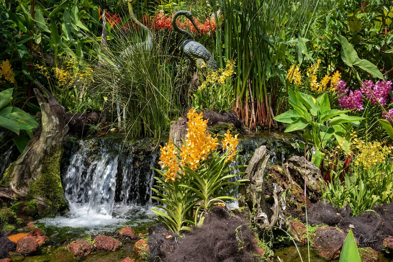 National Orchid Garden, photo 1 of 12