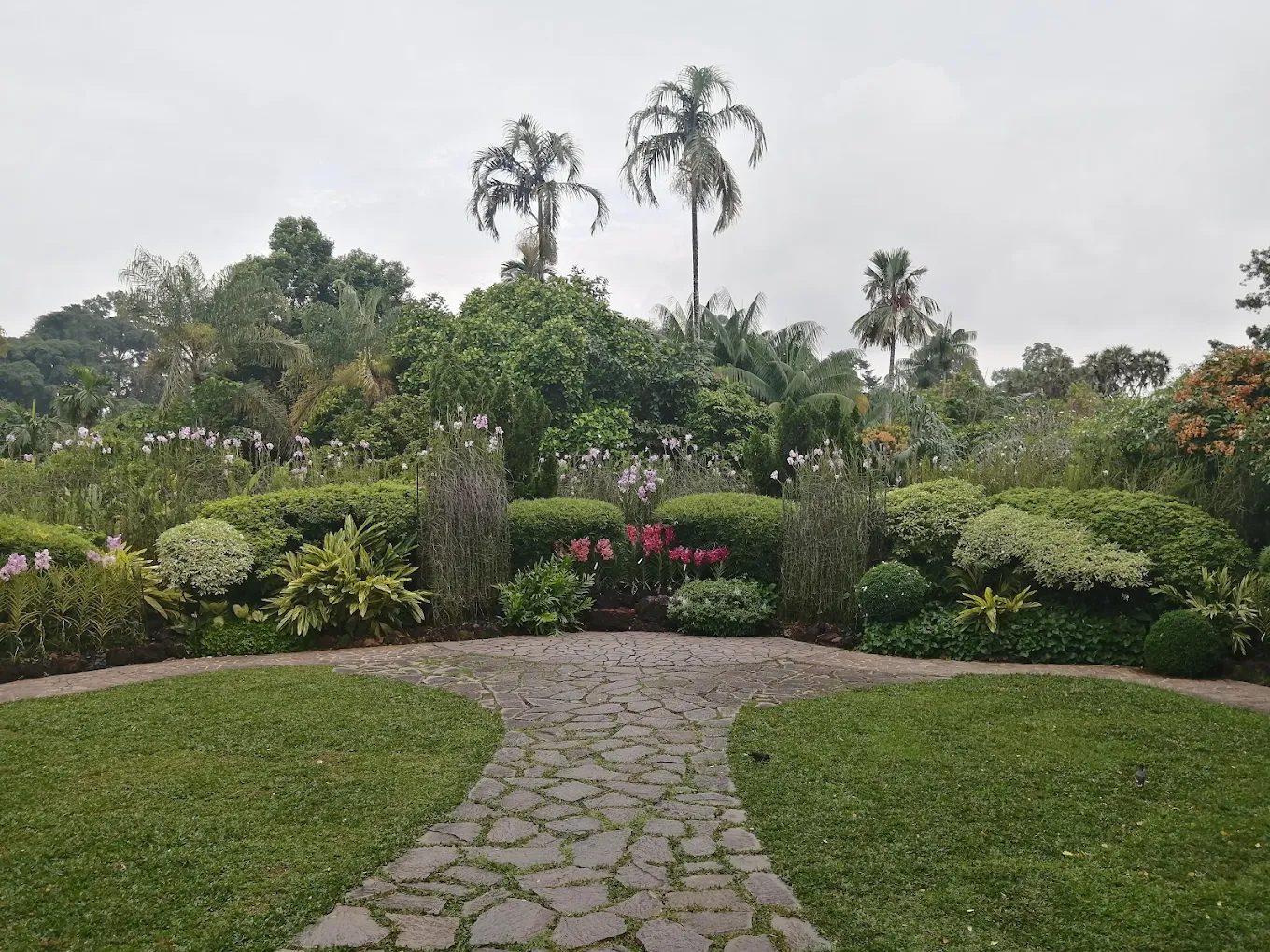 National Orchid Garden, photo 2 of 12