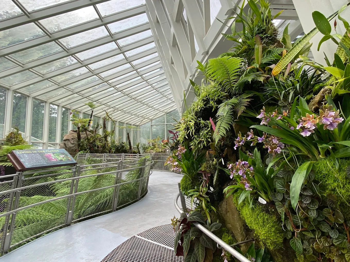 National Orchid Garden, photo 3 of 12