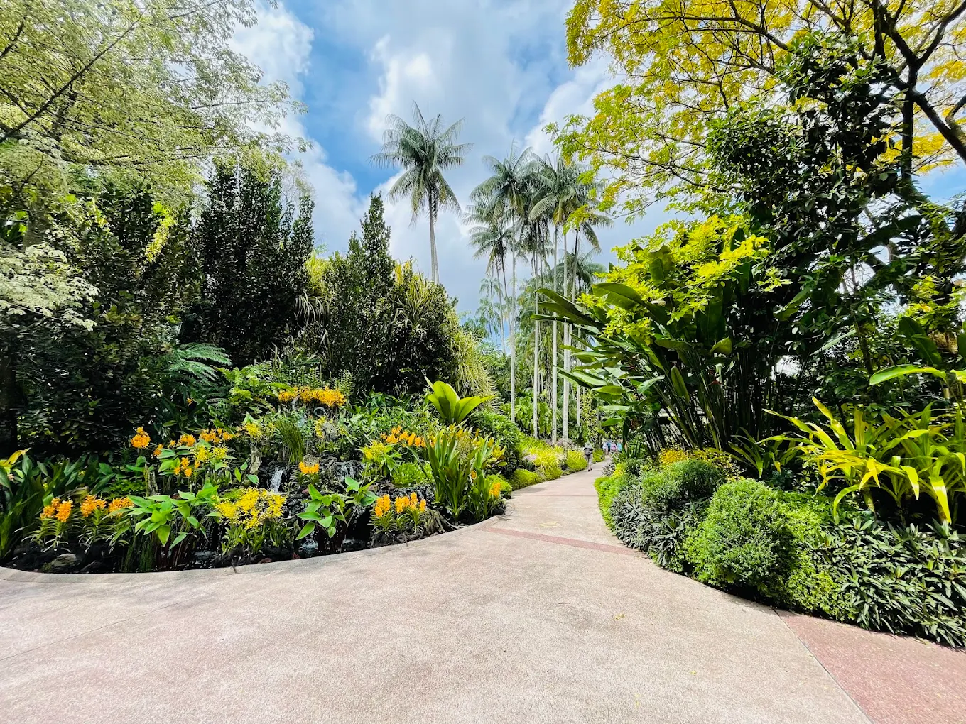 National Orchid Garden, photo 4 of 12
