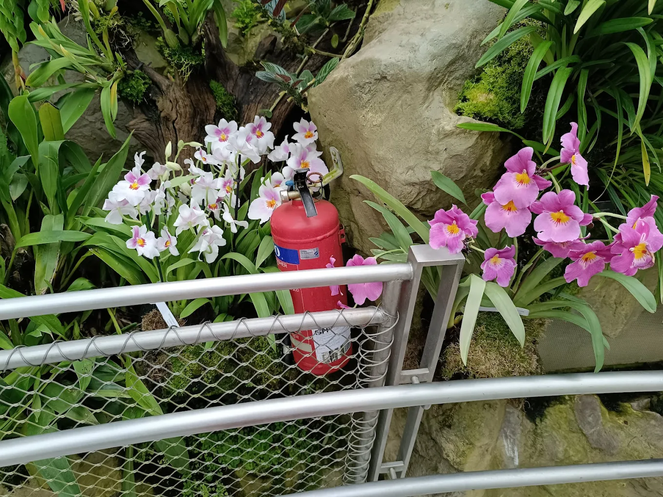 Singapore, photo 4