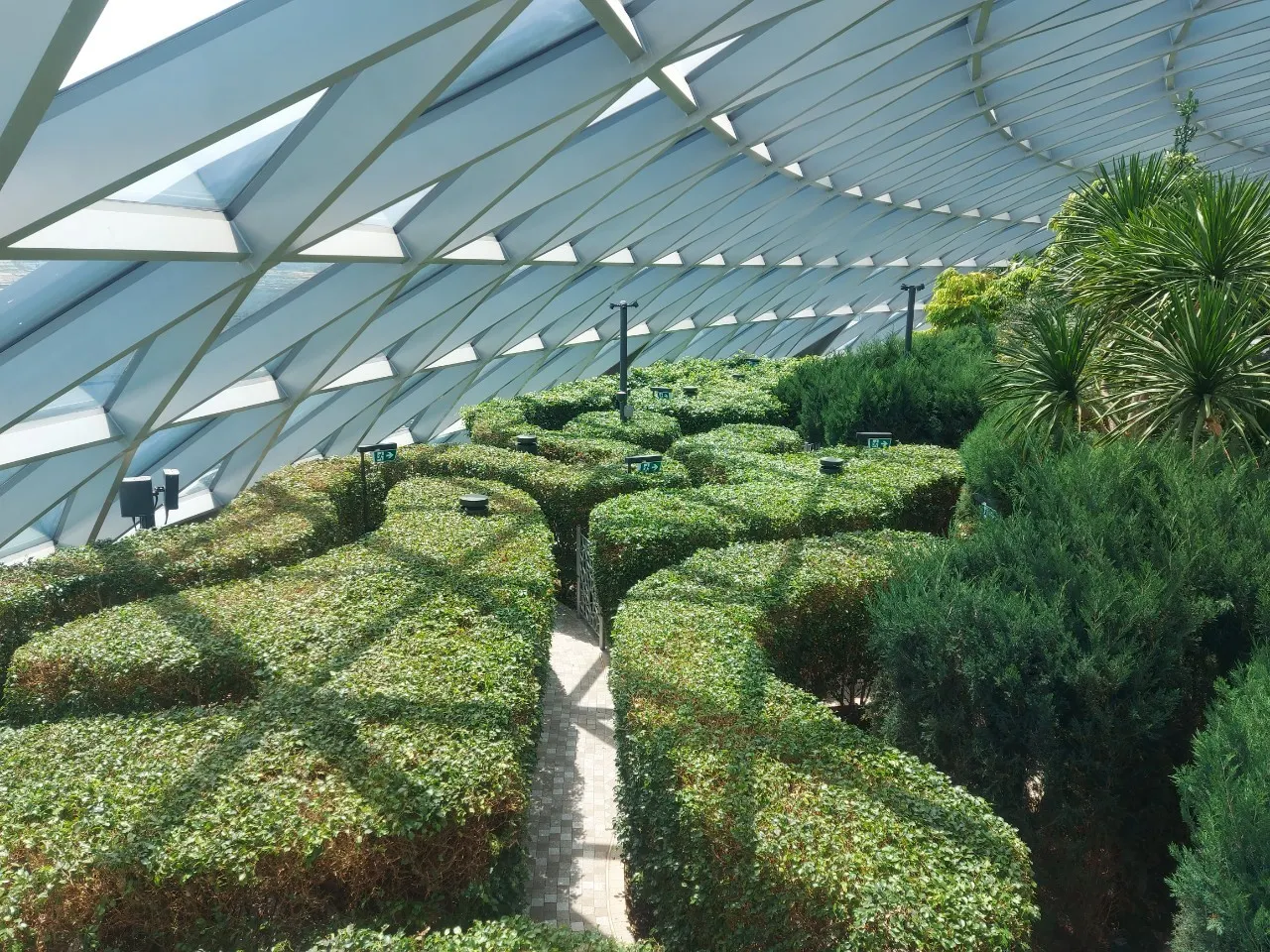 Hedge Maze @ Jewel, photo 1 of 11