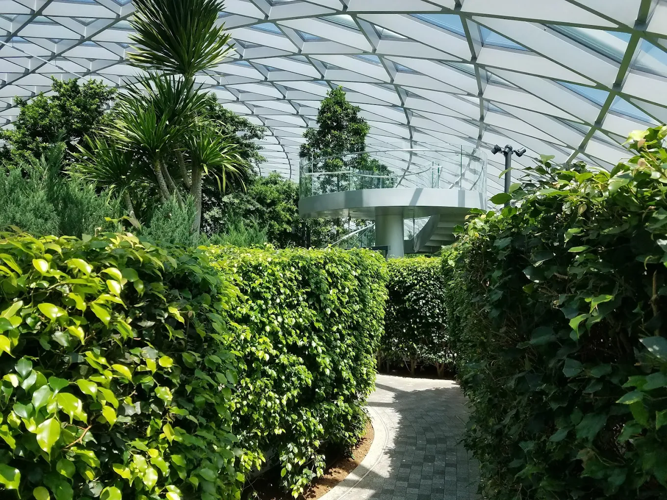 Hedge Maze @ Jewel, photo 4 of 11