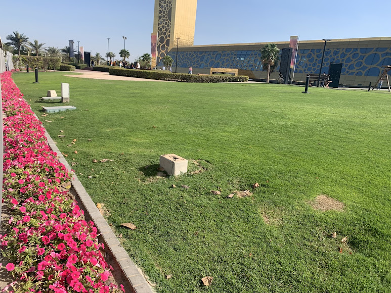 Dubai Frame, photo 4 of 12