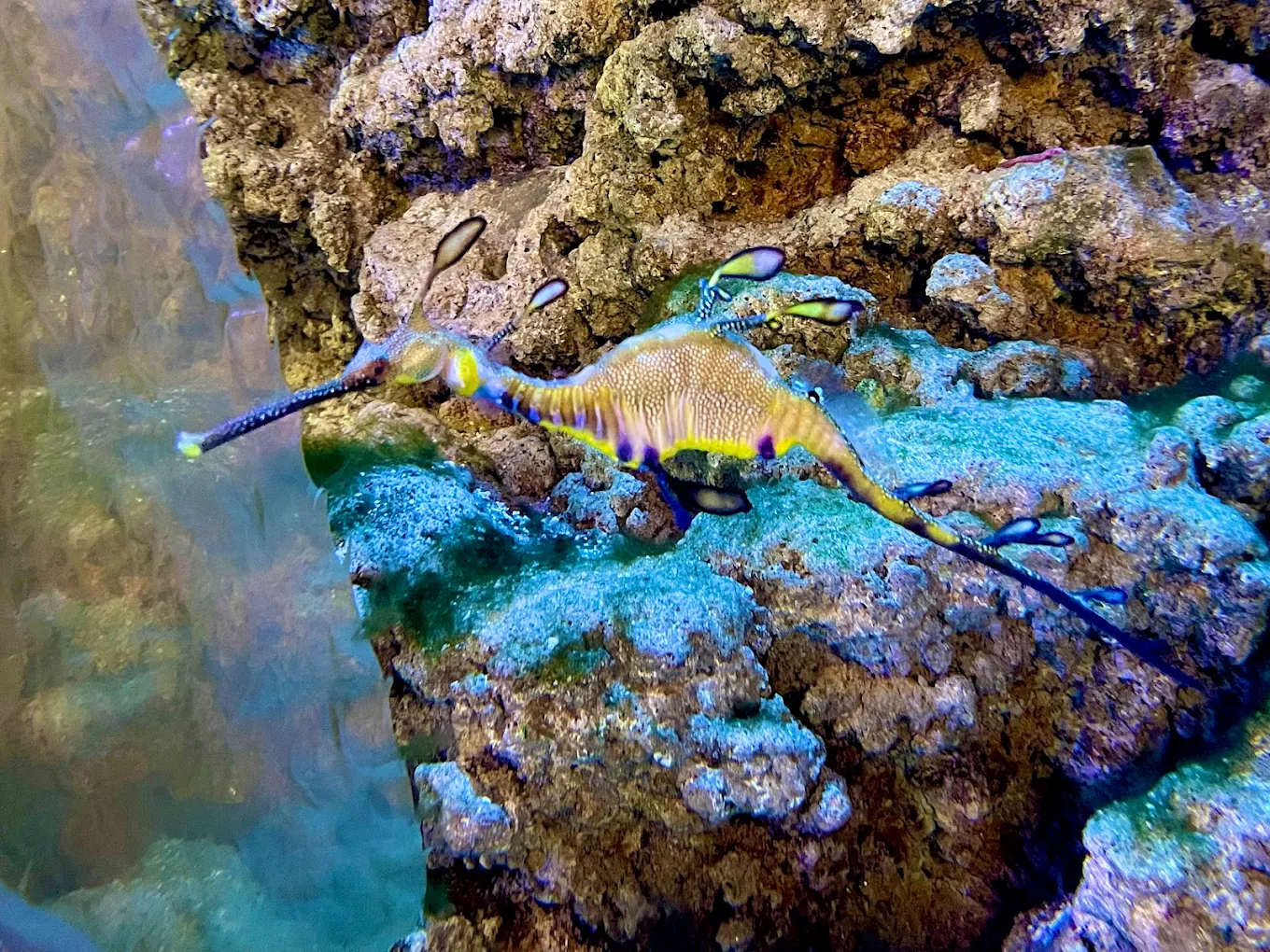 Dubai Aquarium & Underwater Zoo, photo 2 of 11