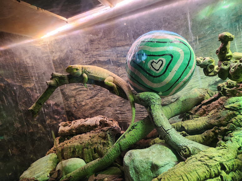 The Green Planet Dubai, photo 3 of 12