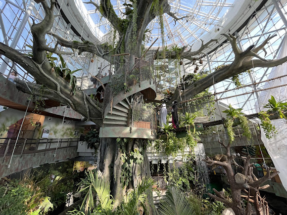 The Green Planet Dubai, photo 1 of 12