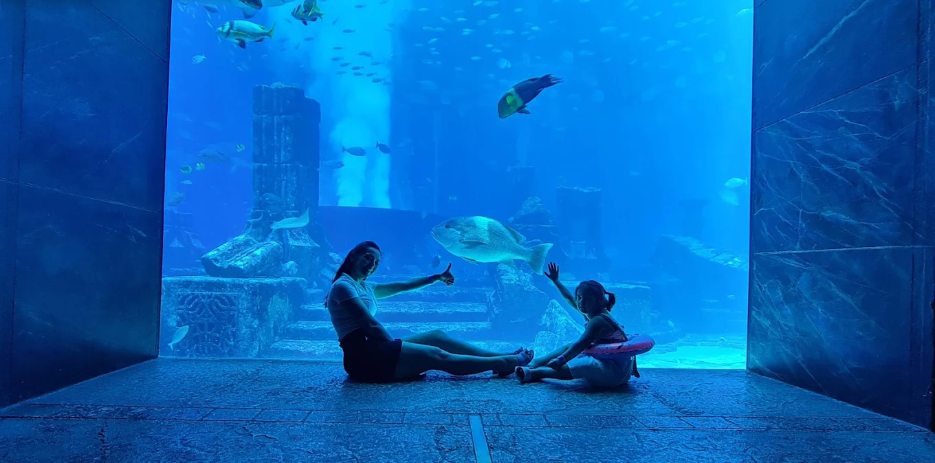 The Lost Chambers Aquarium at Aquaventure World, photo 4 of 9