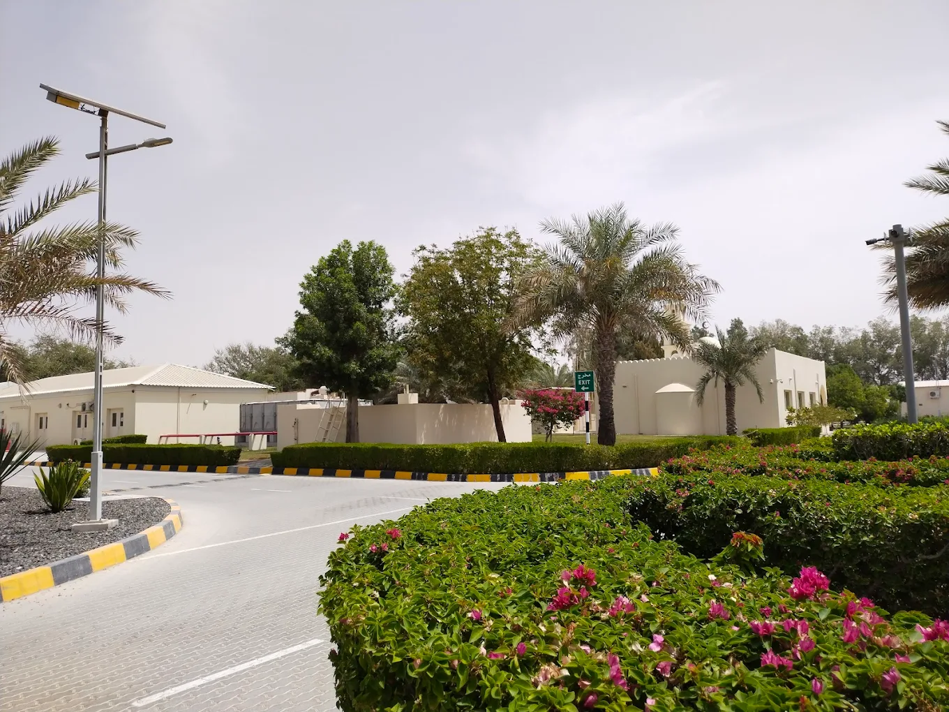 Abu Dhabi Falcon Hospital, photo 2 of 12