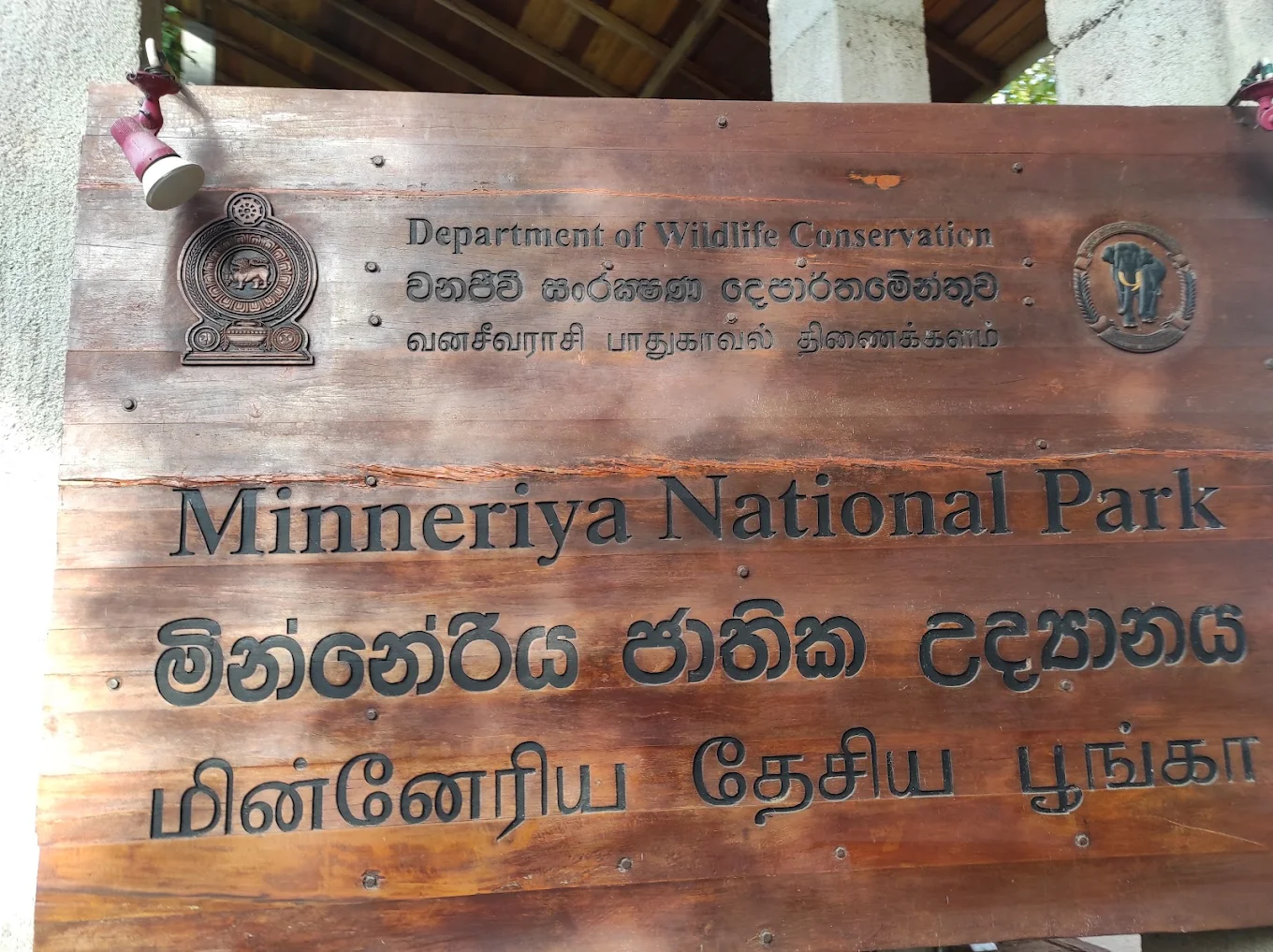 Minneriya National Park, photo 3 of 9