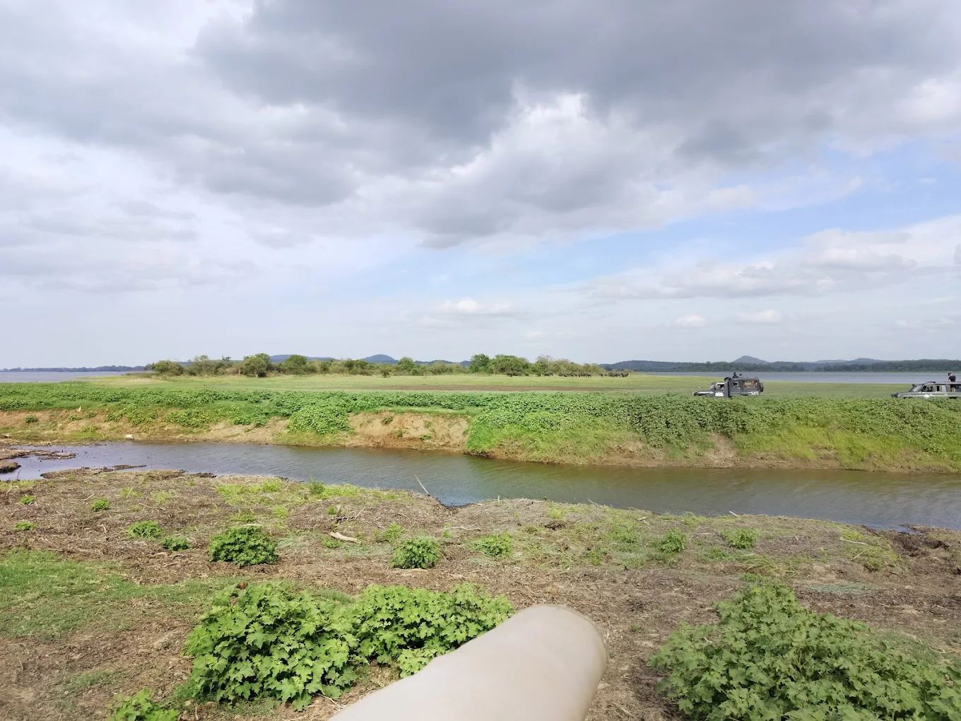 Minneriya National Park, photo 2 of 9
