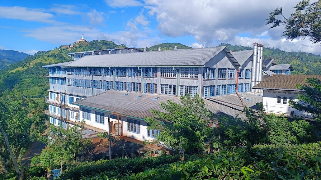 Tea plantations, photo 1 of 8