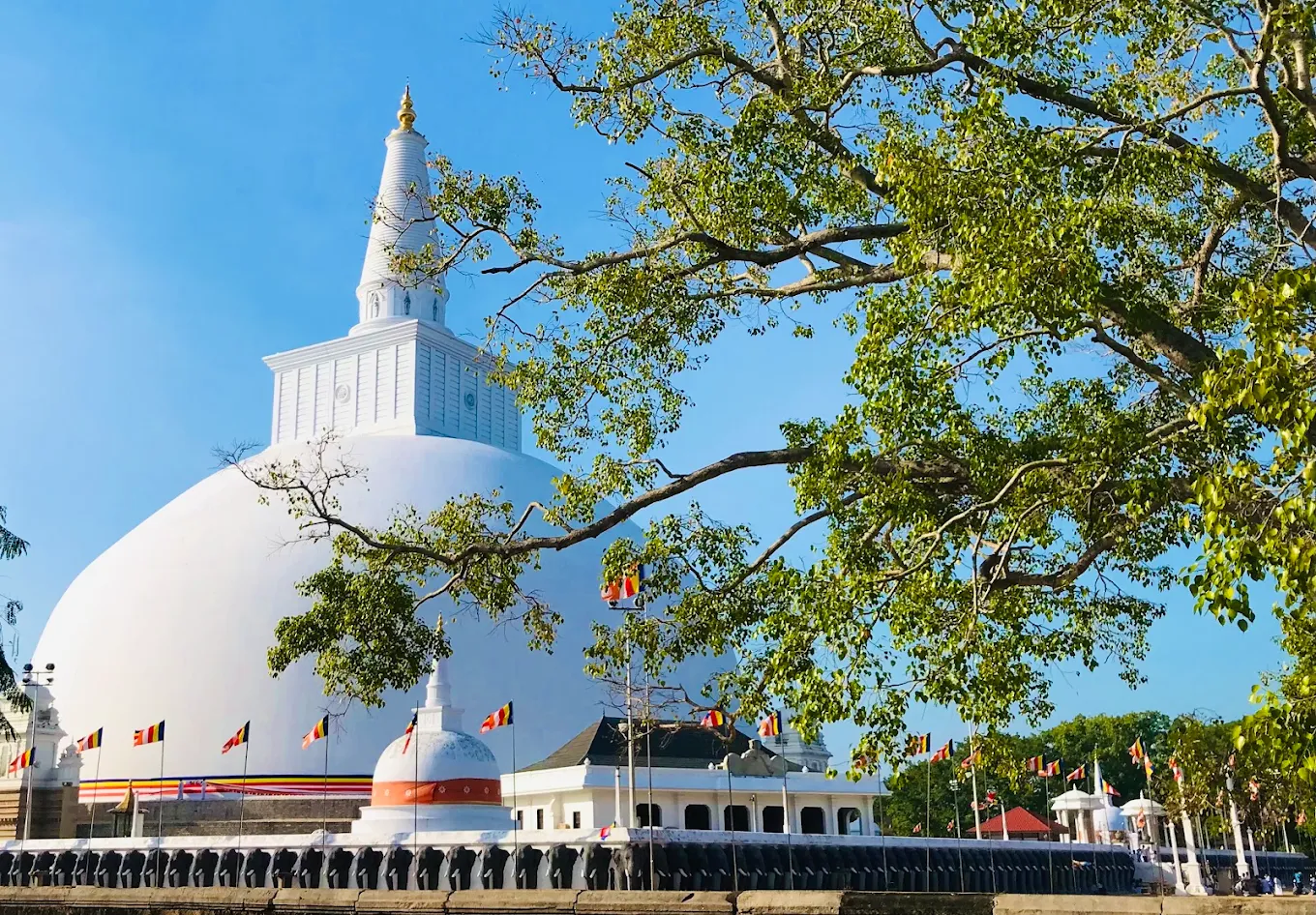 Ruwanweli Maha Seya, photo 4 of 10