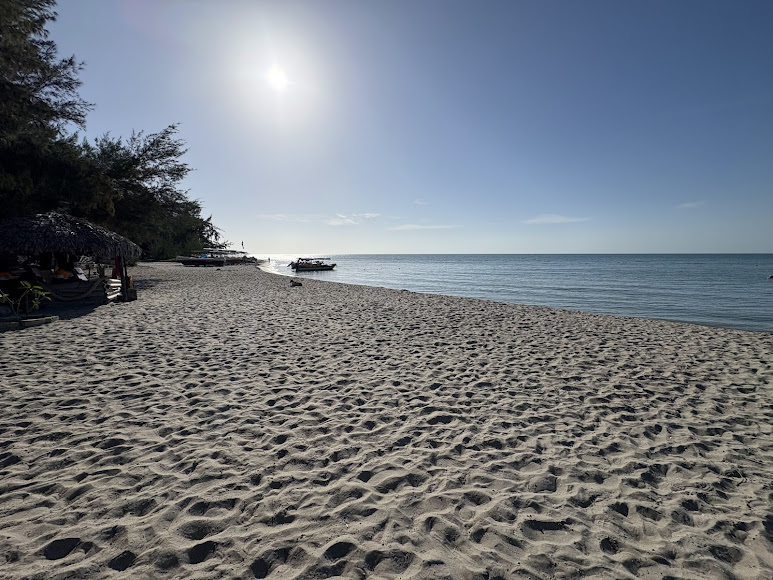 Casuarina Beach, photo 3 of 8