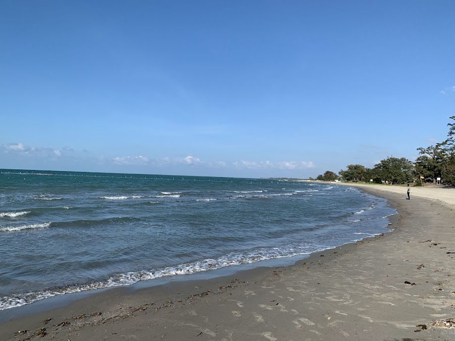 Casuarina Beach, photo 1 of 8