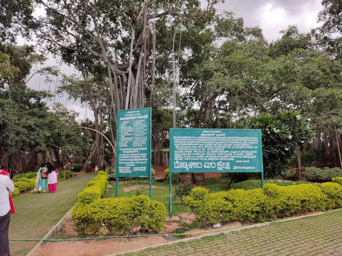 Dodda Aalada Mara, photo 1 of 9
