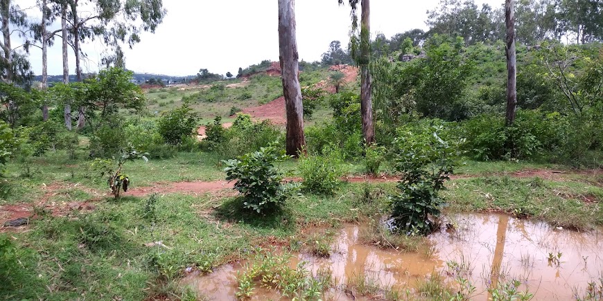Turahalli Forest, photo 2 of 11