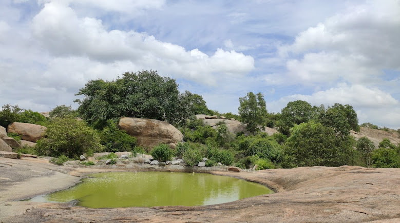 Turahalli Forest, photo 3 of 11