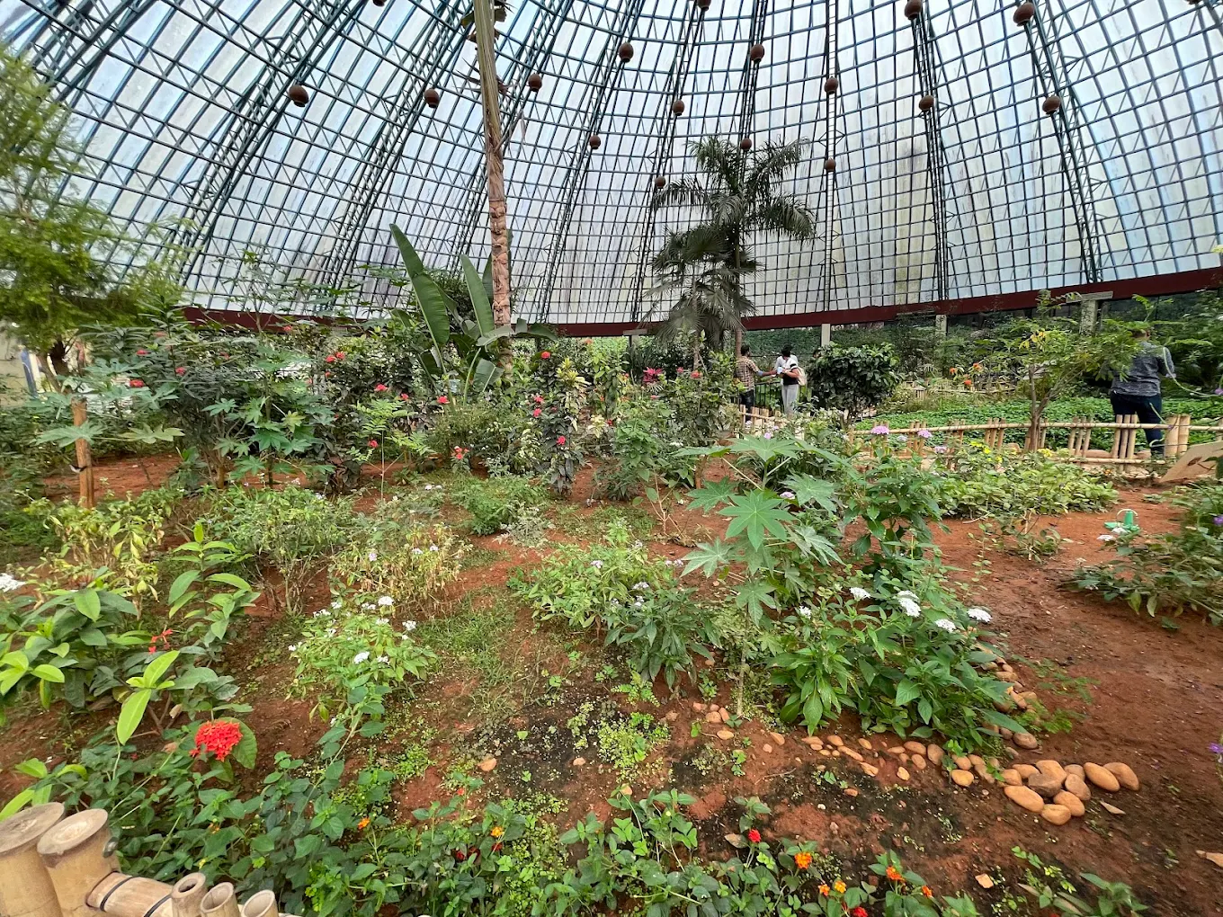 Butterfly Park, photo 1 of 10