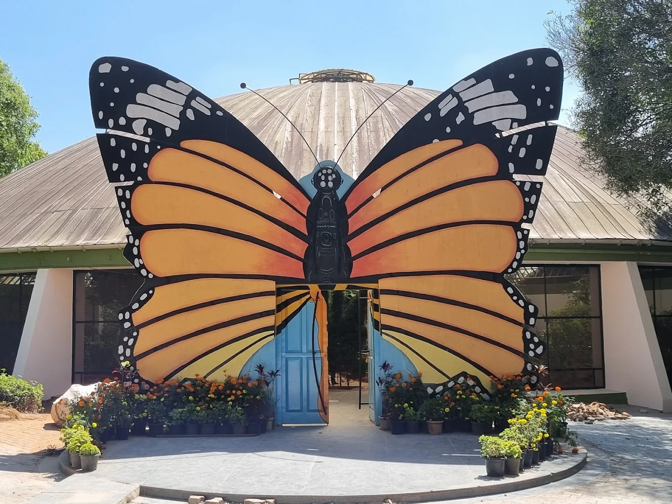 Butterfly Park, photo 3 of 10