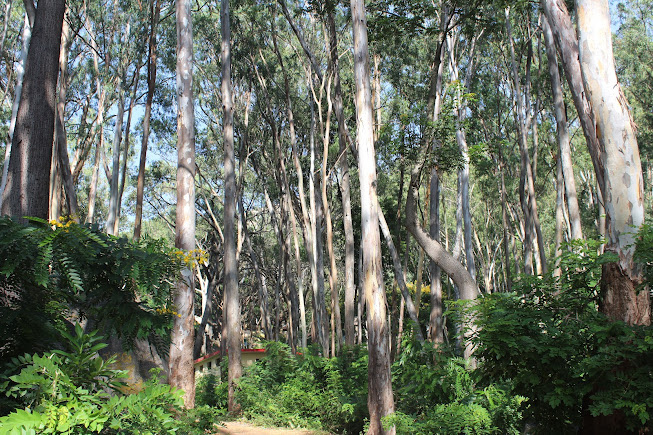 Antaragange Cave And Water, photo 4 of 9
