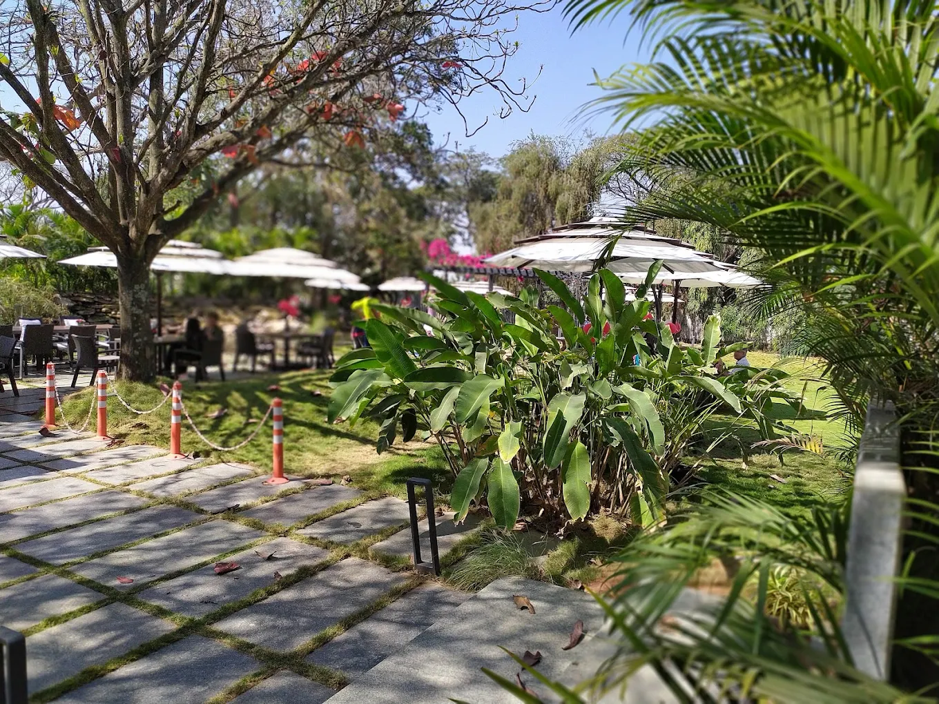 Grover Zampa Vineyards, photo 3 of 12