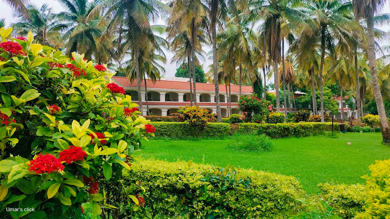 THE GOLDEN PALMS HOTEL & SPA, photo 3 of 11