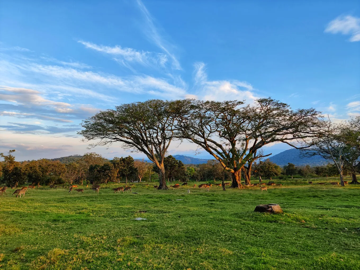 Bandipur National Park, photo 3 of 10