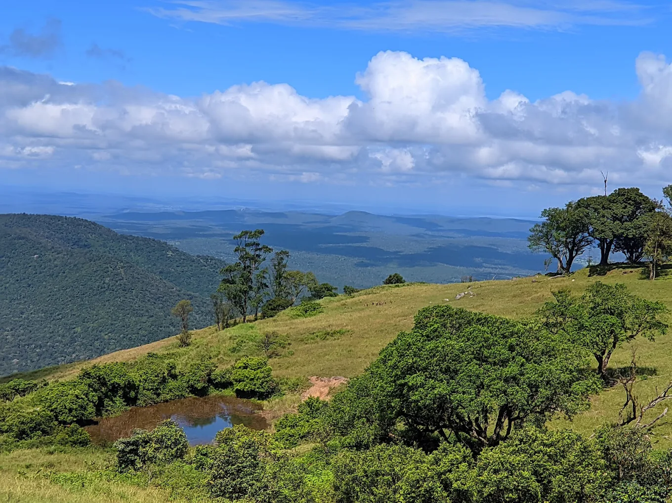 Bandipur National Park, photo 4 of 10