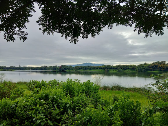Mysuru, Karnataka