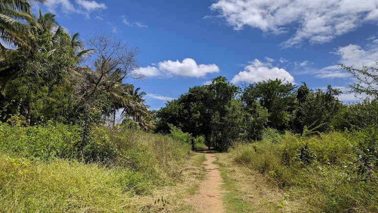 Lingambudhi Lake, photo 1 of 7