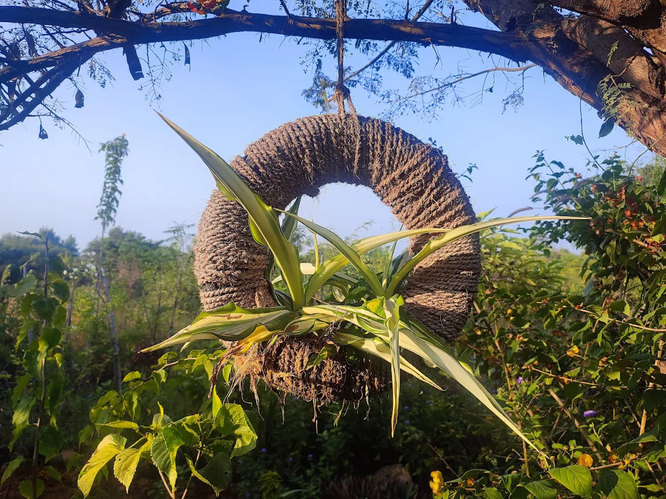 Atal Bihari Vajapayee Zoological Park, photo 2 of 8