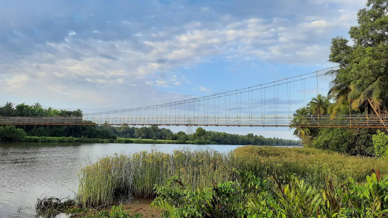 Hanging Bridge, photo 3 of 5